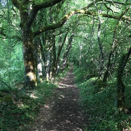 La Grange Du Pech Tatil Evi