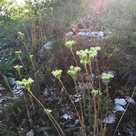 Tatil Evi La Grange Du Pech *