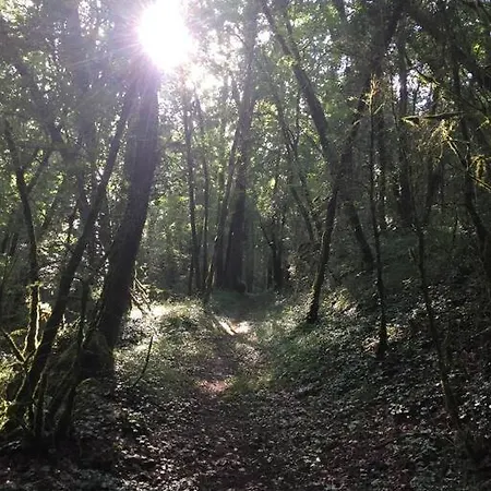 La Grange Du Pech Tatil Evi Lacour