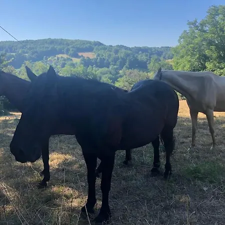 Grande Maison Avec Piscine Chauffée Privée En Quercy * Lacour