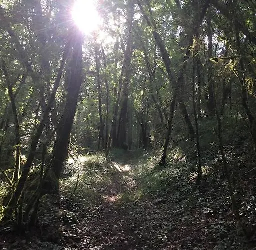 La Grange Du Pech בית נופש Lacour