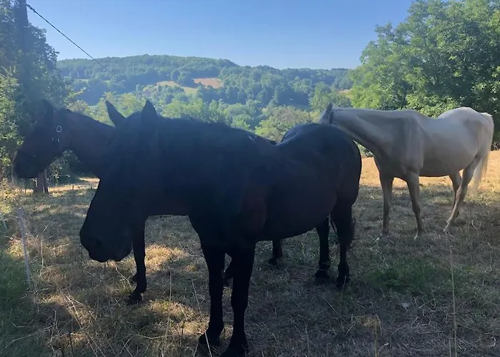 La Grange Du Pech * Lacour